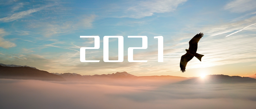 乘“峰”而上，智“盈”未来 ——2021年多宝电竞环境高级资深副总裁新年开工动员